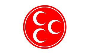 Игра националистов изменит роли на выборах Турции в 2019 году