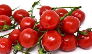 В России предложили увеличить квоту на ввоз томатов из Турции
