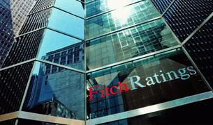 Fitch: Снижение курса лиры повышает риски для турецких банков