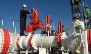 Турция не ожидает проблем с поставками газа из РФ, так как не вводила санкции