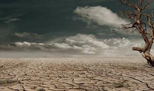 Эксперт: Двухлетний дефицит осадков превратился в хроническую засуху в Турции