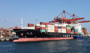 Компании с иностранным капиталом обеспечили 30% экспорта Турции в 2025 году