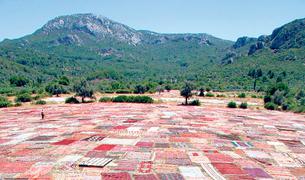 Турецкие ковры ручной работы выкладывают на солнце перед отправкой на экспорт