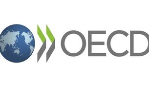 Экономист ОЭСР: Турция к 2026 году достигнет устойчивого роста