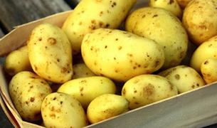 В Турции стремительно дорожает картофель