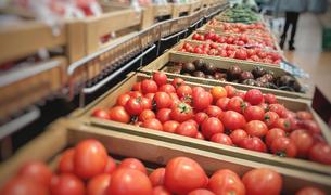 В Турции пожаловались на проблемы с отправкой помидоров в Россию