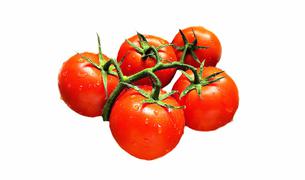 Турция надеется на то, что РФ снимет ограничения на поставки томатов