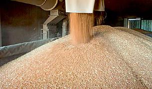 Судно с украинским зерном прибудет в ливанский порт ориентировочно в субботу