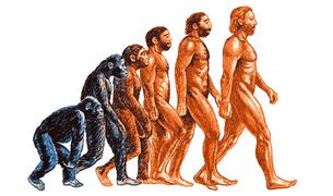 Министерство образования Турции планирует полностью заменить теорию эволюции из занятий по биологии на креационизм