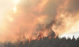 Лесной пожар возник у турецкой Аланьи недалеко от населенных районов