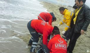 На побережье в западной части Турции обнаружены тела 34 мигрантов