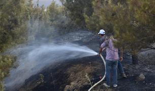 Пожары на юго-западе Турции уничтожили 500 гектаров леса