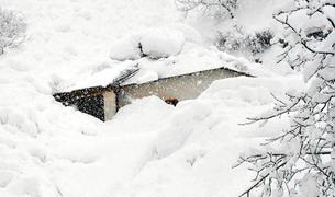 В Ване снежная лавина завалила 7 домов