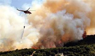 В Турции в трех провинциях вспыхнули лесные пожары