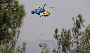 Турция подключилась к тушению пожара в боржомском лесу Грузии