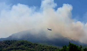 Лесной пожар в Анталье продолжается более 36 часов, выгорело 180 га леса