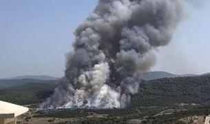 Сильный лесной пожар произошел недалеко от турецкого курорта Бодрум - ТВ