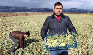 Побег из мегаполисов Турции: Хипстеры из Стамбула переезжают в сельскую местность