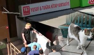 Власти Турции намерены депортировать японца за убийство и поедание кошек