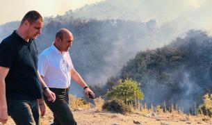 В Турции за последний месяц вспыхнуло 503 лесных пожара
