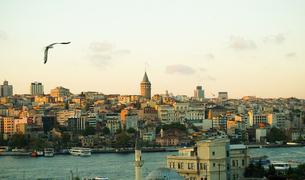 Власти Турции намерены подготовить Стамбул к возможному разрушительному землетрясению
