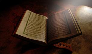 Главы дипмиссий Дании и Нидерландов вызваны в МИД Турции из-за акций по осквернению Корана