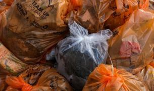 Greenpeace: Турция стала крупнейшим импортёром мусора из ЕС в 2020 году