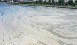 Турция намерена очистить всё Мраморное море от «морских соплей»