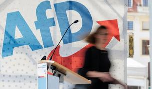 Ультраправая партия Германии (AfD) готовит экспансию в Турцию: что это значит?