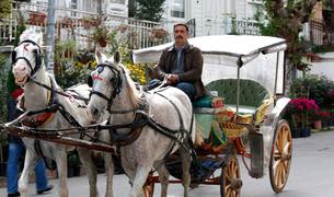 Стамбульский муниципалитет запретил конные экипажи на Принцевых островах