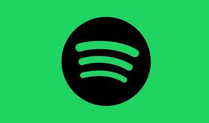 Турция начала расследование в отношении Spotify из-за «провокационных плейлистов»