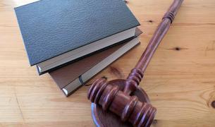 Адвокат: Обвиняемую по делу Frendex могут не экстрадировать из Турции в Россию