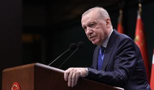 Эрдоган: Турция принимает необходимые меры для контроля над природными пожарами