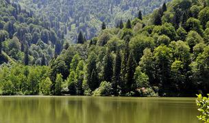 Парламент Турции одобрил закон, позволяющий строить туристические объекты в национальных парках