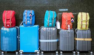 Часть багажа не прибыла на рейсах Turkish Airlines во Внуково