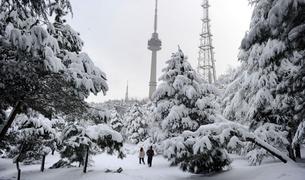 В Стамбуле вновь снегопад