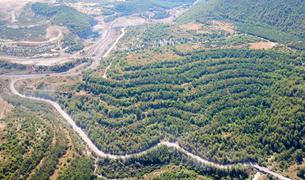 Аргументы властей Турции в целесообразности вырубки деревьев в лесах Акбелена