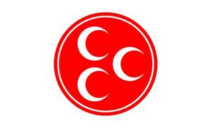 Депутат ПНД призвал открыть «интеграционные курсы» для получения турецкого гражданства