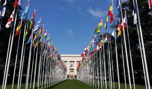 Президент Турции: Исламский мир должен иметь представителя в постоянных членах СБ ООН