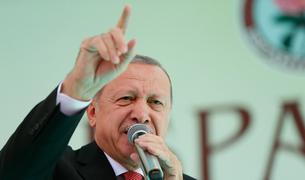 Президент Турции допустил начало новой операции против курдов в Сирии