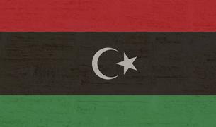 Турция подтвердила свою поддержку стабильности в Ливии