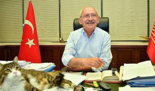 Турецкая оппозиция не будет обсуждать новую Конституцию с ПСР