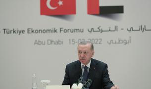 Эрдоган призвал бизнесменов ОАЭ инвестировать в Турцию