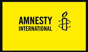 Amnesty International опровергла обвинения Эрдогана в планировании переворота