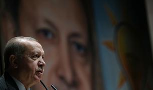 DW: С 2014 года рекордно увеличилось количество случаев оскорбления Эрдогана