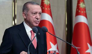 Эрдоган поблагодарил лидеров ОТГ за представление статуса наблюдателя Северному Кипру