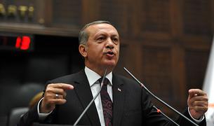 Эрдоган намерен предложить двойное гражданство сирийским беженцам