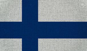Глава Минобороны Финляндии проведет переговоры в Турции в начале декабря
