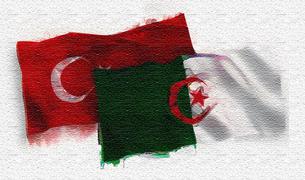 Турция и Алжир пообещали развивать двусторонние отношения и сотрудничество по региональным вопросам