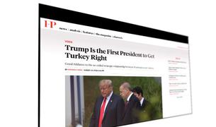«Стратегические отношения между Соединенными Штатами и Турцией являются лишь иллюзией»